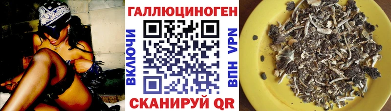 Галлюциногенные грибы GOLDEN TEACHER  Верхоянск 