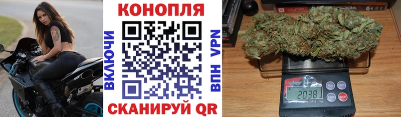 Конопля гибрид  магазин продажи   Верхоянск 